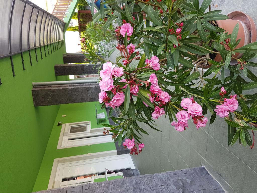 Apartman Taktik Velky Meder Exterior foto